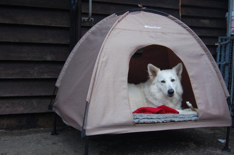 Fotos/NestWillow 2010/nest2010/dracht/DSC_0189[1].jpg